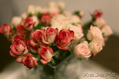 �����ж�пᣬ��͸��ж��ǿ (4)