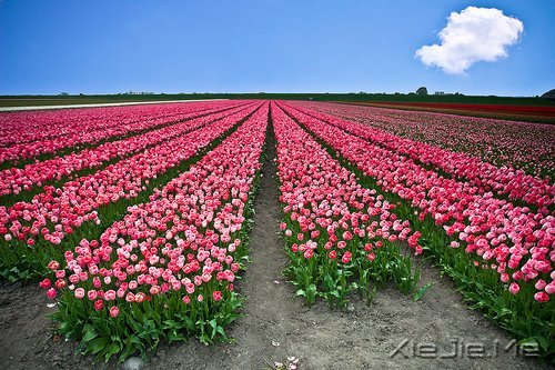 �ڴ�һ������ľ��룬�����������õļ��� (5)