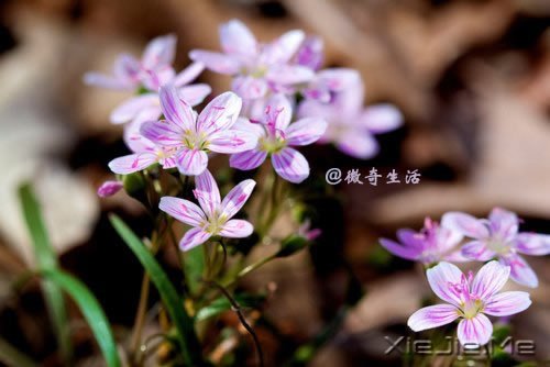 风雨的前方,那是彩虹的方向 (3)