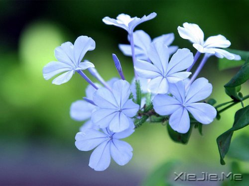 �簲����໰�Ȼ��Ըɾ�һǧ�� (3)