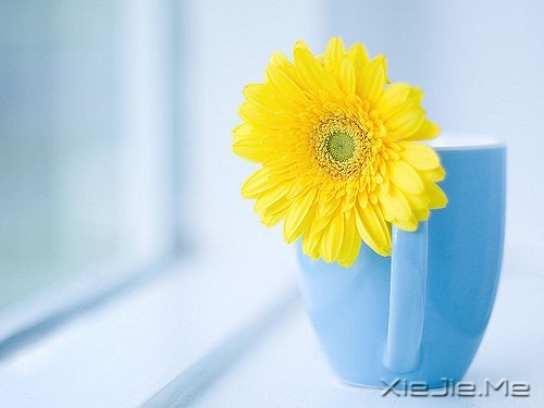 �������������ת���������¿�ʼ (10)