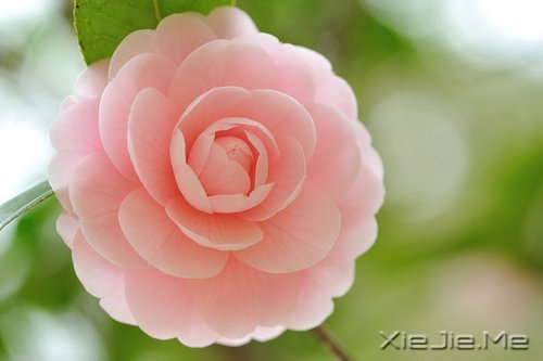 �簲�����Ȼһ�У��������� (6)