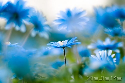 ��δ���������������ǰ�һ���׸����� (3)
