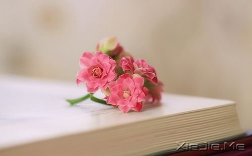 �簲����̲���ʹ�࣬�ͼ������Ҹ� (1)