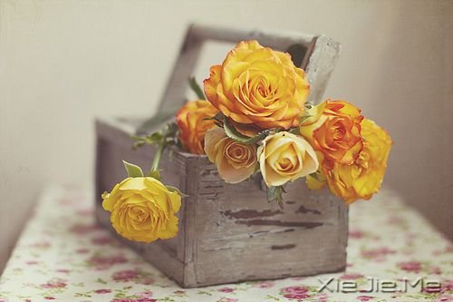 如果你累了,世界会给你一个拥抱 (6) 如果你累了,世界会给你一个拥抱 (6)