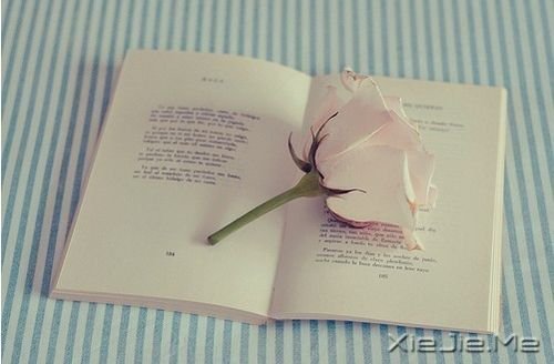 С����ͼƬ (6)
