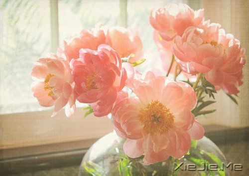 ������¼��ֻҪ�ʺ��Լ��������Ҹ� (10)
